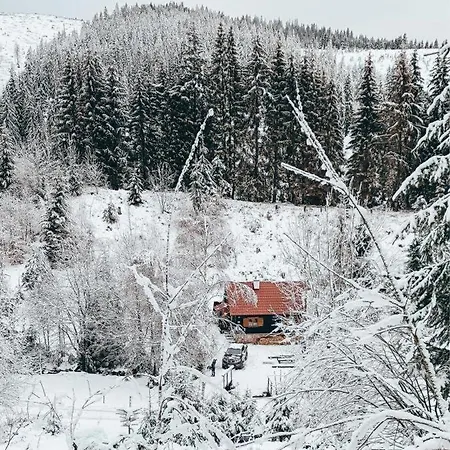 Boca Salasky Chalet